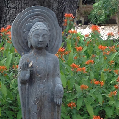 budda crop